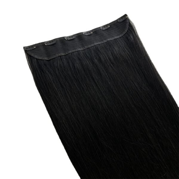 regular clip ins (复制)