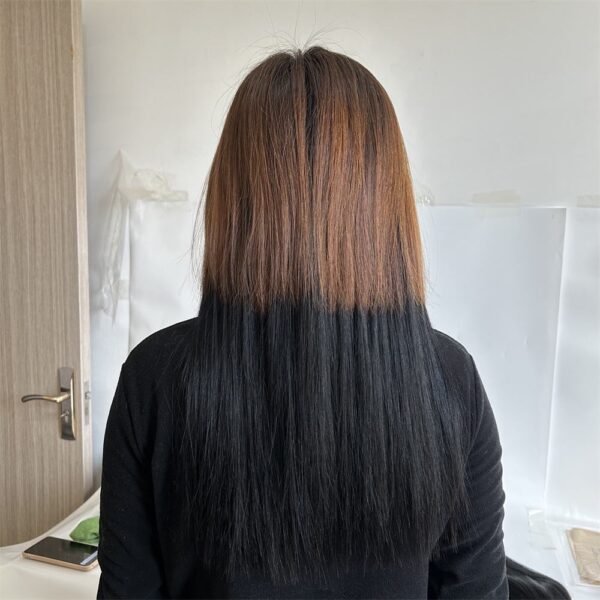 regular clip ins (复制)